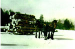 C. Oliver Beley Logging at Morgan's Bay, Lake Rosseau - RI0065