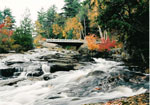 Bridge over Rosseau Falls - RV0042