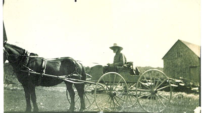 Sirett, Alfred Tom  on wagon with horse at farm - RP0030