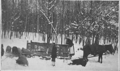 Horse and sledge near Fettercairn