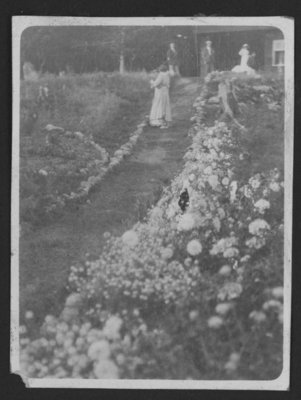 Gardens at main bungalow at Fettercairn