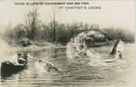 Fishing postcard from Chaffey's c. 1920