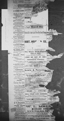 Farmersville Reporter and County of Leeds Advertiser (18840522), 21 Feb 1888