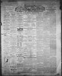 Farmersville Reporter and County of Leeds Advertiser (18840522), 3 Jul 1888