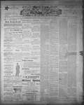 Athens Reporter and County of Leeds Advertiser (18920112), 30 May 1893