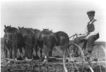 John Weekes with cultivator  c.1910