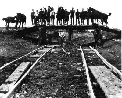 Horses laying down rail for C.N.R. in 1912 at Lombardy Station