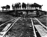 Horses laying down rail for C.N.R. in 1912 at Lombardy Station