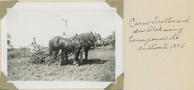 Trotter Family Cultivating c1945