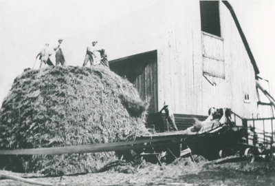 Thrashing Grain on the Hollis Chant Farm