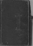 Diary of Marsh Ripley (1869-1870)