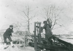Hollis and Charlie Chant Operating a Dragsaw