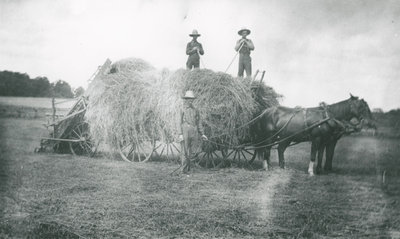 Haying at the Earl farm near Elgin c.1925.