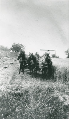 Melbourne MacDonald Cutting Hay