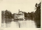 Steamboat- Rideau King