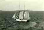 Unidentified sailing vessel