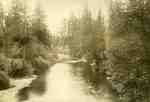 Unknown river, Algoma  Black and White photograph  Photo by Walis G. Castor, Soo, Ont