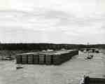 Algoma Central Railway tie yard at Hawk Junction Black and White photograph