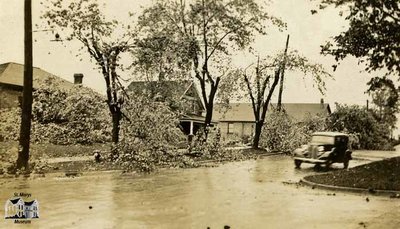 Tree Branches Blown Down After Storm, June 1933