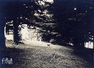 View of Cadzow Park and Part of Tracy House, c. 1900