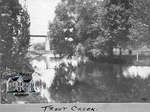 Trout Creek and London Bridge, 1903