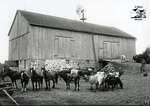 Wooden Barn with Horses and Cows, c. 1902-1906