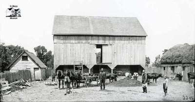 Barnyard Scene, St. Marys Area, c. 1902-1906