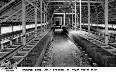 Hooper Bros. Ltd., St. Marys