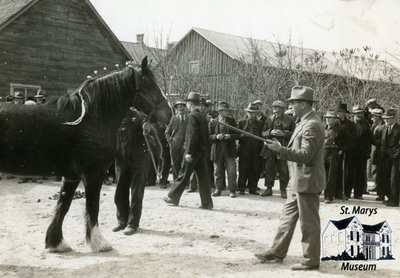 Horse and Trainer