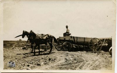 Man in Horse-Drawn cart