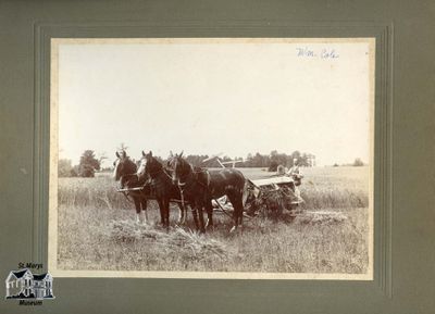 William T. Cole with Horses