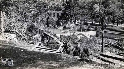 Cyclone Aftermath at Cadzow Pool