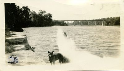 Isabelle Chesterfield with Family Dog by the Thames