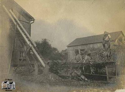 Cutting Corn on Farm of Jos. S. Weber in Waterloo County