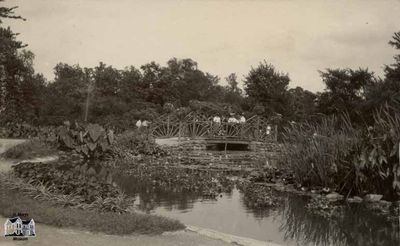 Pond of Water Lilies at Belle Isle, Detroit