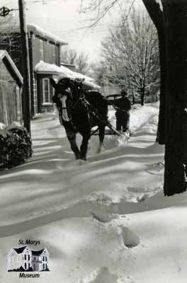 Frank Sager and his horse Barney plowing sidewalks