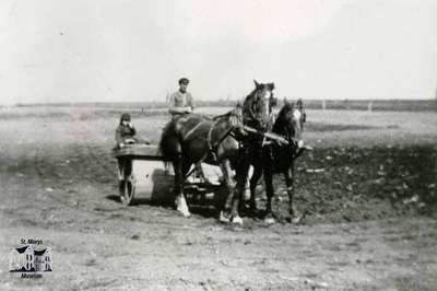 Man driving a team of horses