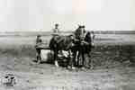 Man driving a team of horses