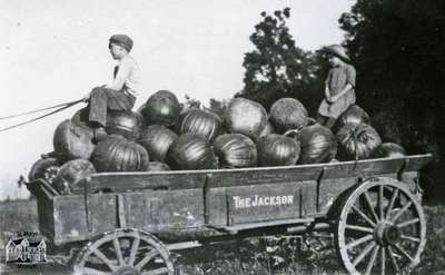 Children on a wagon load of pumpkins