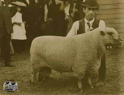 Jimmie Robinson with champion sheep