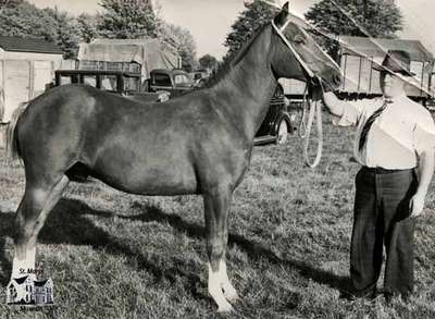 Gladwyn Hooper and Boy, 1940 (1850ph_a)