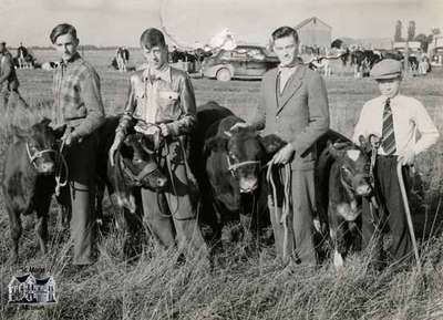 St. Marys Boys Calf Club entrants, 1940 (1850ph_b)