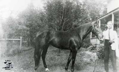 S.P. Riddell and horse