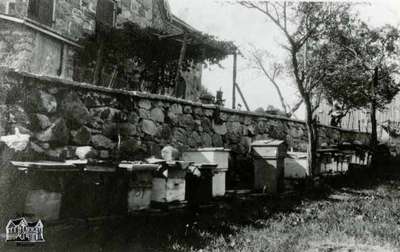 Apiary on William Hamilton farm