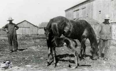 Willie Riddell and Robert Riddell