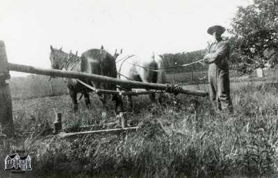 Roland Riddell with a team of horses