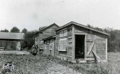 Chicken houses