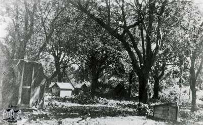 Grounds of P.S. Riddell, St. Marys