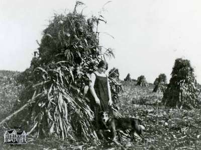 Corn Stooks at Legge farm