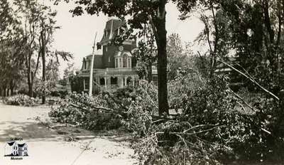 Fallen trees by Ercildoune, 1933